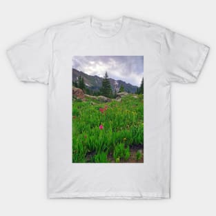 High Alpine Wildflowers T-Shirt